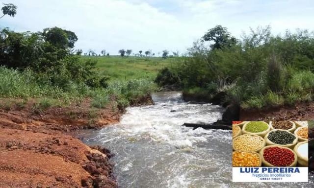FAZENDA A VENDA DE 906 ALQUEIRÕES EM ARAGUAÇU - TO (Dupla Aptidão) - Foto 5
