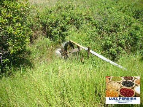 FAZENDA A VENDA de 100 HECTARES EM TERENOS - MS - (Pecuária) - Foto 8