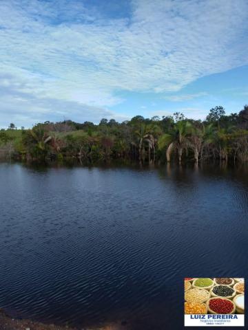 FAZENDA A VENDA P/ AGRICULTURA, PROJETO IRRIGAÇÃO EM LAGOA DA CONFUSÃO -TO - Foto 3