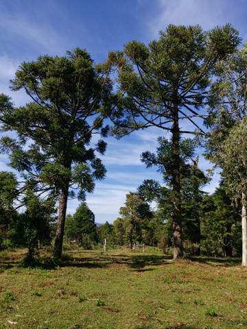 Condomínio rural na serra gaúcha - Foto 7