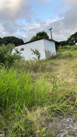 VENDO ÁREA NAS MARGENS DA BR 104  - Foto 4