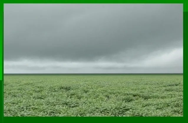 R$400.000.000 Fazenda de 21.000 hectares em Santa Filomena-PI