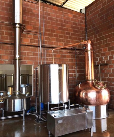 Alambique para gin - Foto 5