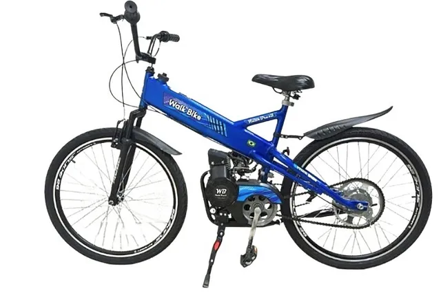 Walk Bike 42 Cc Bicicleta Motorizada 2t