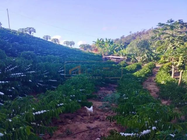 Chácara próximo a Reta Grande  - Foto 4