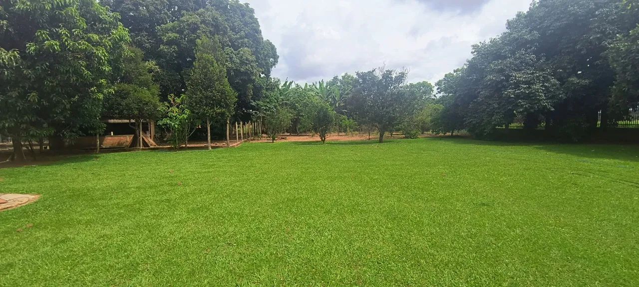 Sítio na ponte alta Sul ao lado do clube caiçara. - Foto 2