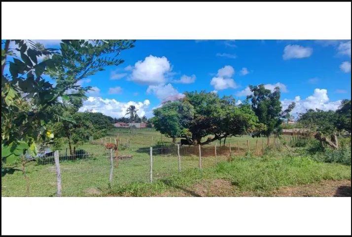 Sítio Próximo ao Condomínio Morada do Rio(5 tarefas) - Foto 10