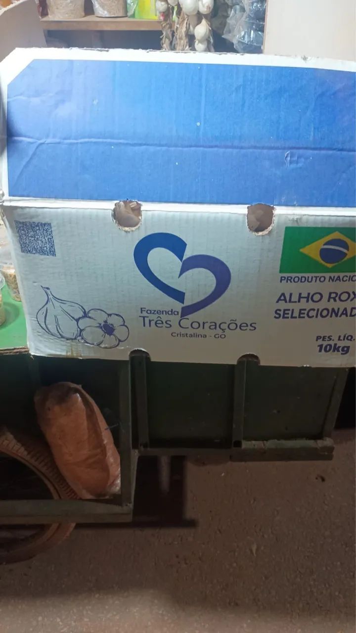 Caixa alho Número 6 - 10kg - Foto 5
