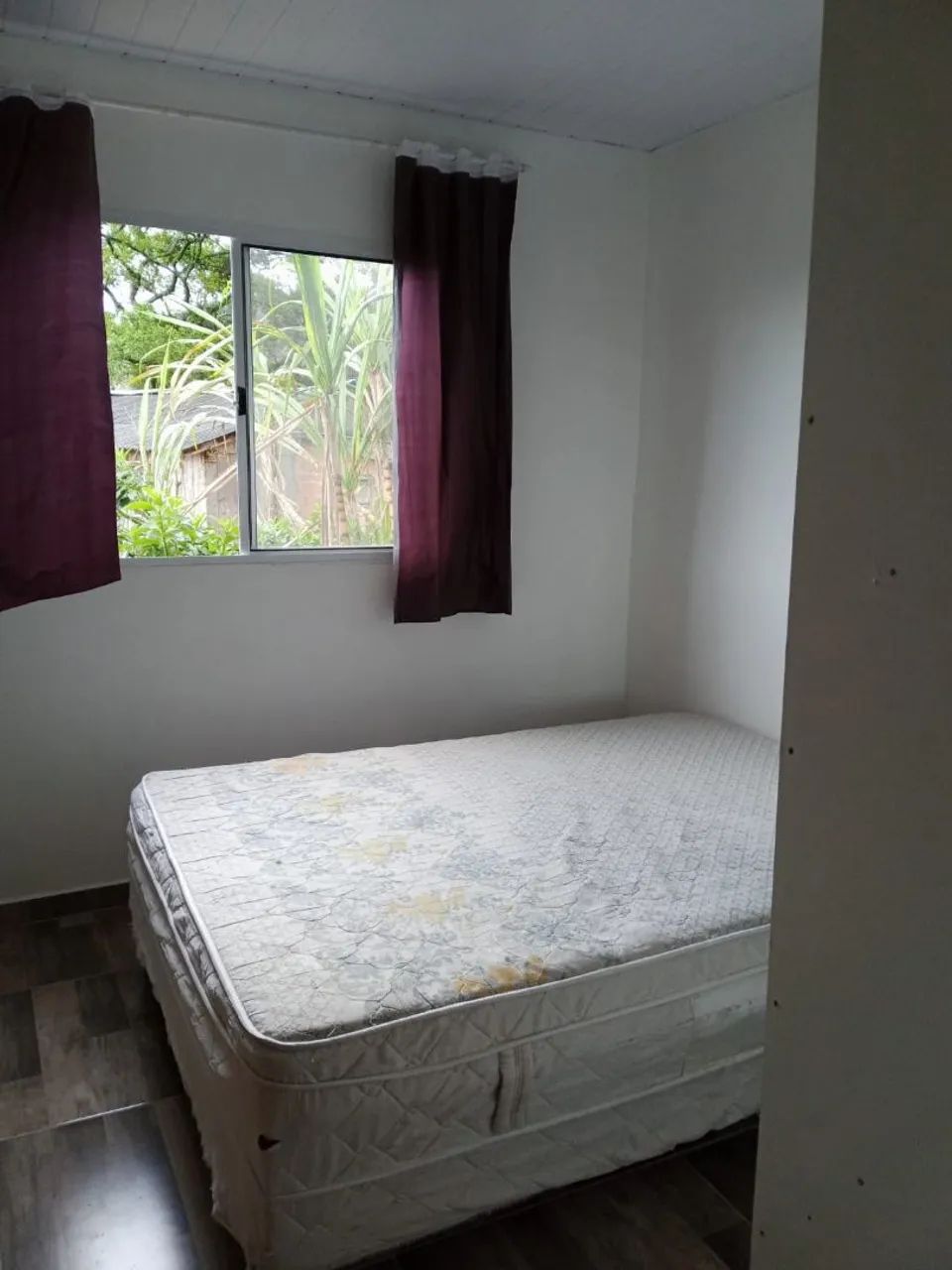 Foto - Florianópolis - Itacorubi