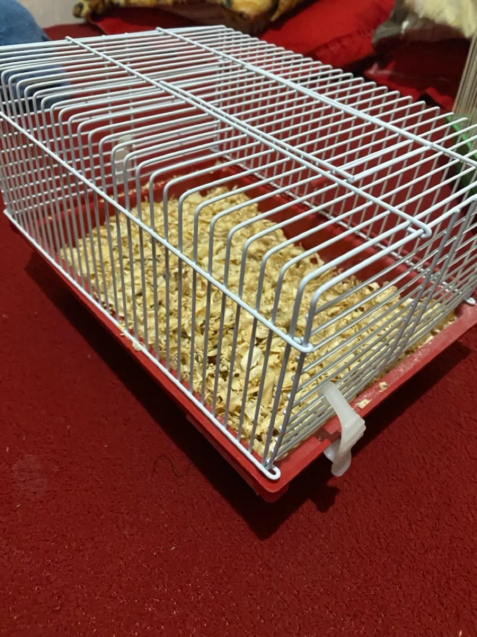 Gaiola para roedores hamster