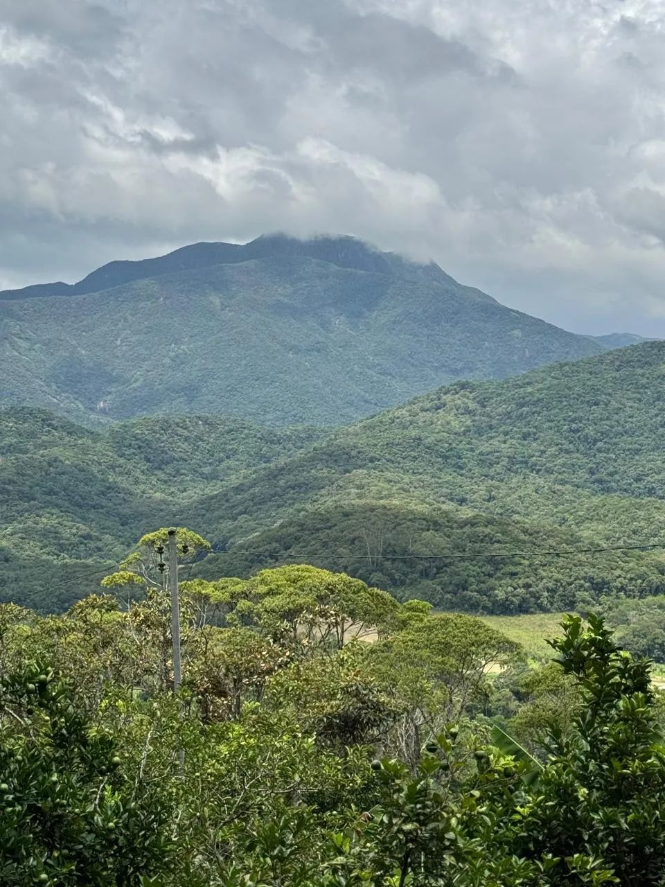 Sitio com casa e mais 3 cabanas em  Águas Mornas - SC - Foto 4