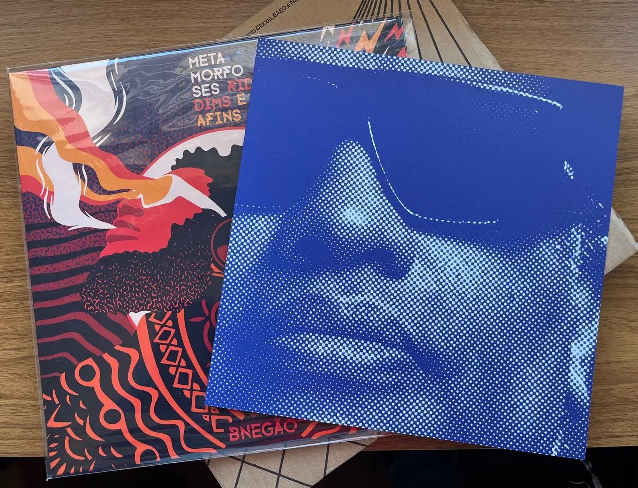 Disco de Vinil Bnegão - Meta Morfoses Rid Dims e Afins - Foto 3