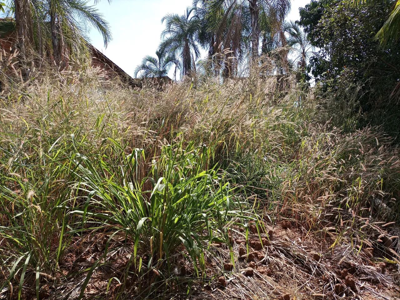 Vendo lote Jardim dos Ipês Uruaçu GO. - Foto 5
