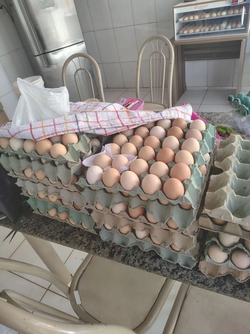 Ovos Caipira Frescos - Direto do Produtor - Foto 3