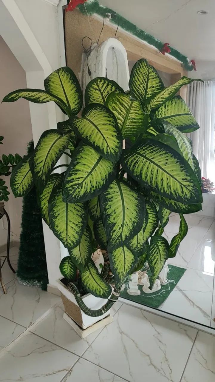 Vendo árvore - Foto 3