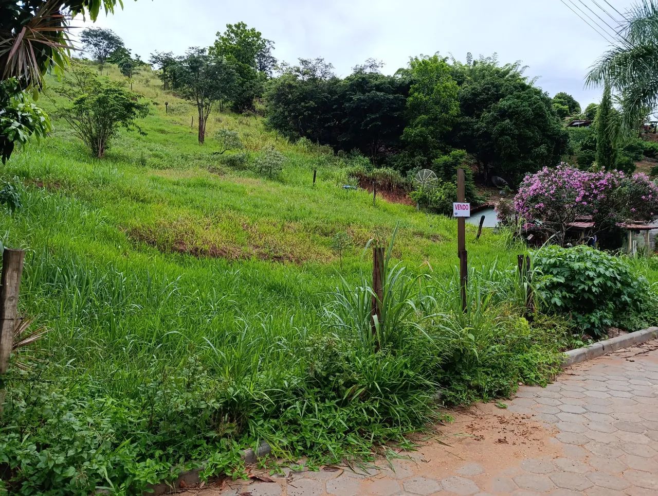 Vende-se bom terreno na Lajinha! Baixou pra vender rápido! - Foto 3