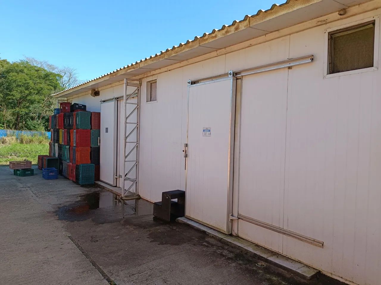 Galpão para produção controlada - Estava com Cogumelos  - Foto 2