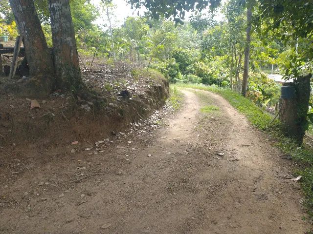 Sítio em Itabuna, a 12 minutos do Centro - Foto 4