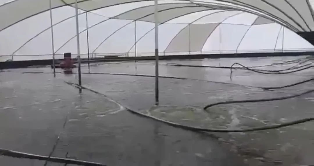 Fazenda em Ceará Mirim, 12 hectares, Criação de Camarão e Peixe, Escritura Pública.