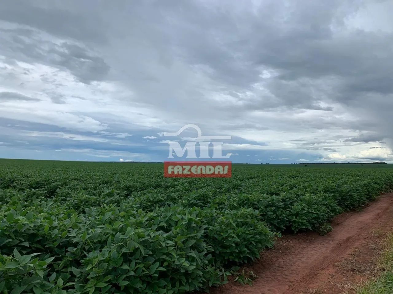 Fazenda em Cana Brava do Norte-MT - 3.980 Há. (em Lavoura) - Foto 3