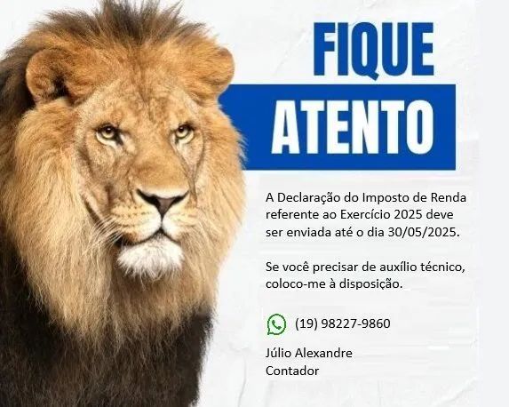 Declaração do Imposto de Renda 2025