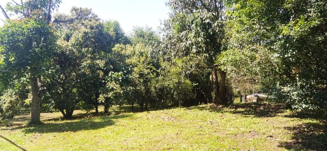 Foto - Suzano - Jardim Imperador