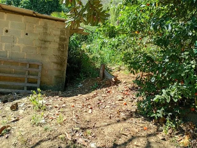 Terreno em Santa Maria jetiba  - Foto 5