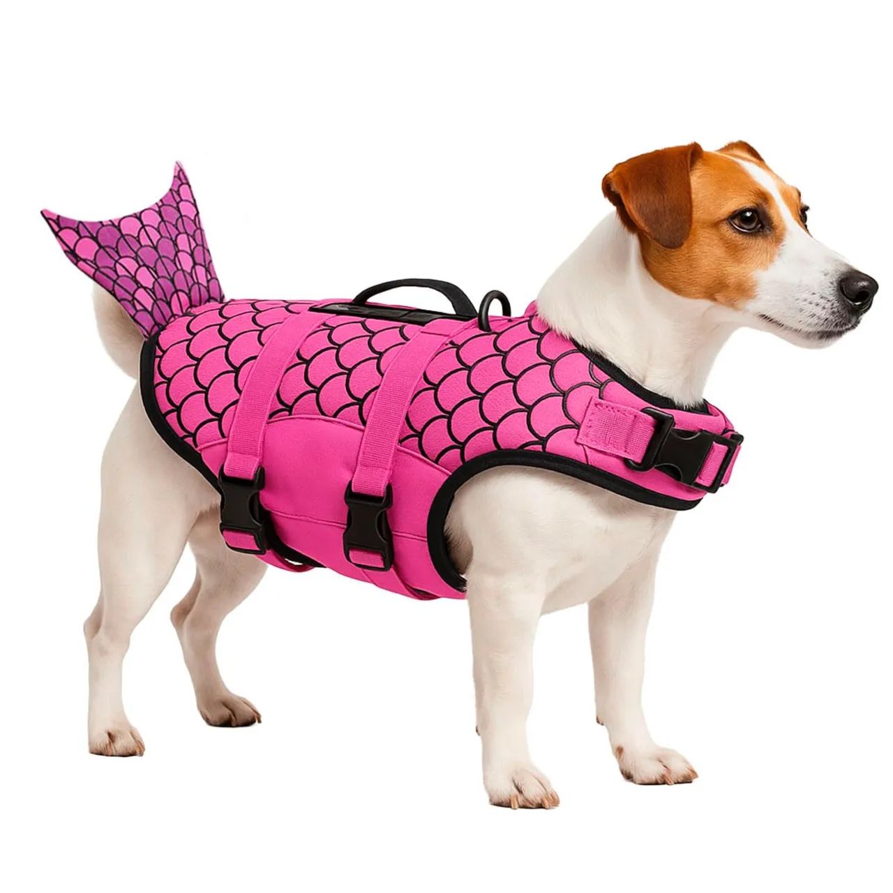 Colete salva vidas Cães  - Foto 3