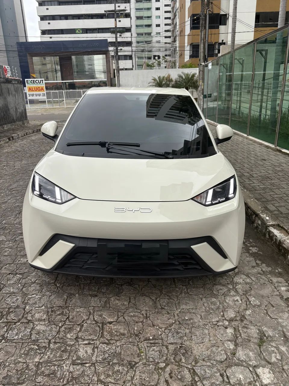 BYD Dolphin Mini (Elétrico) 2024