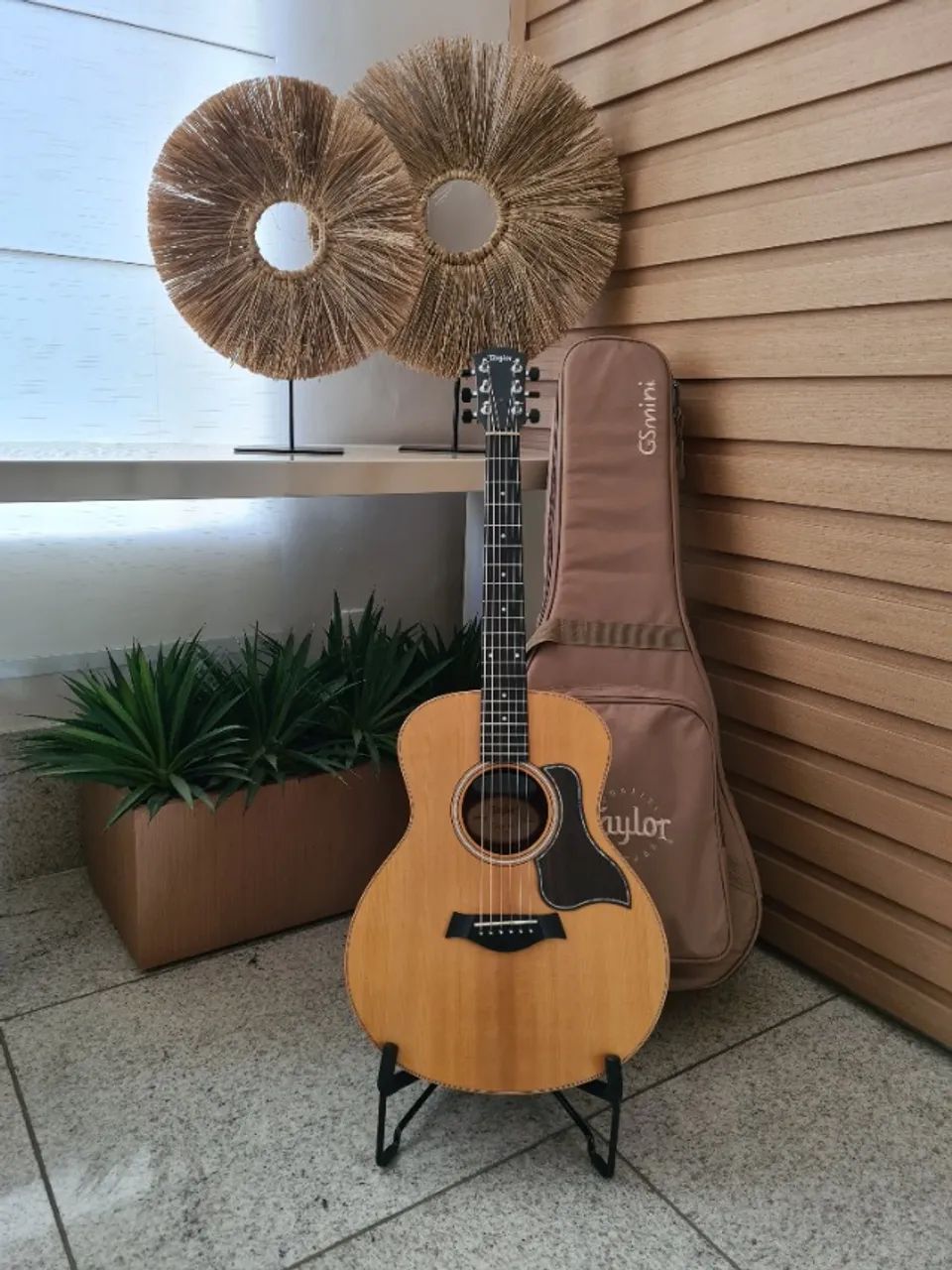 Taylor GS MINI todo modificado