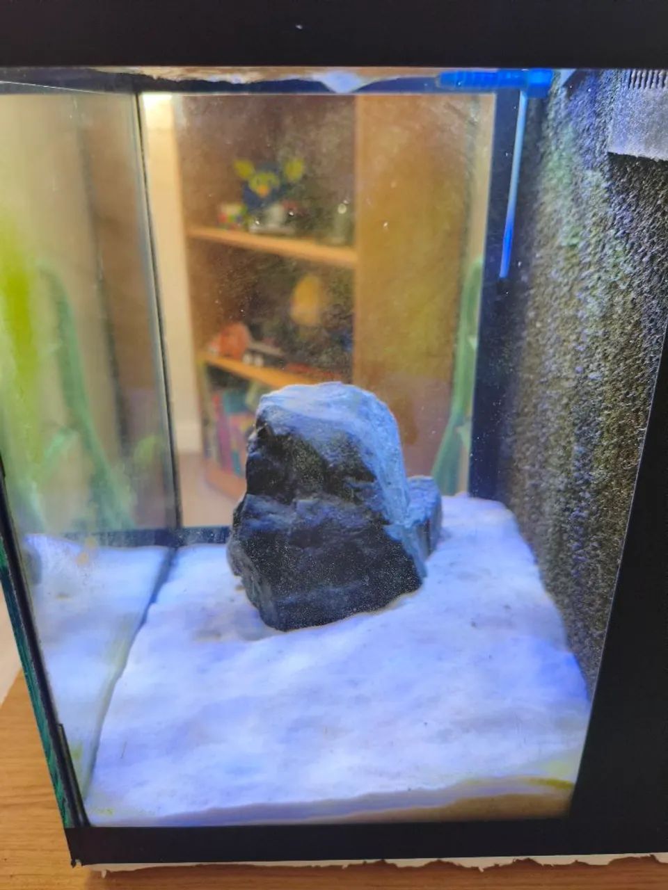 Aquário com sump traseiro, completo  - Foto 6