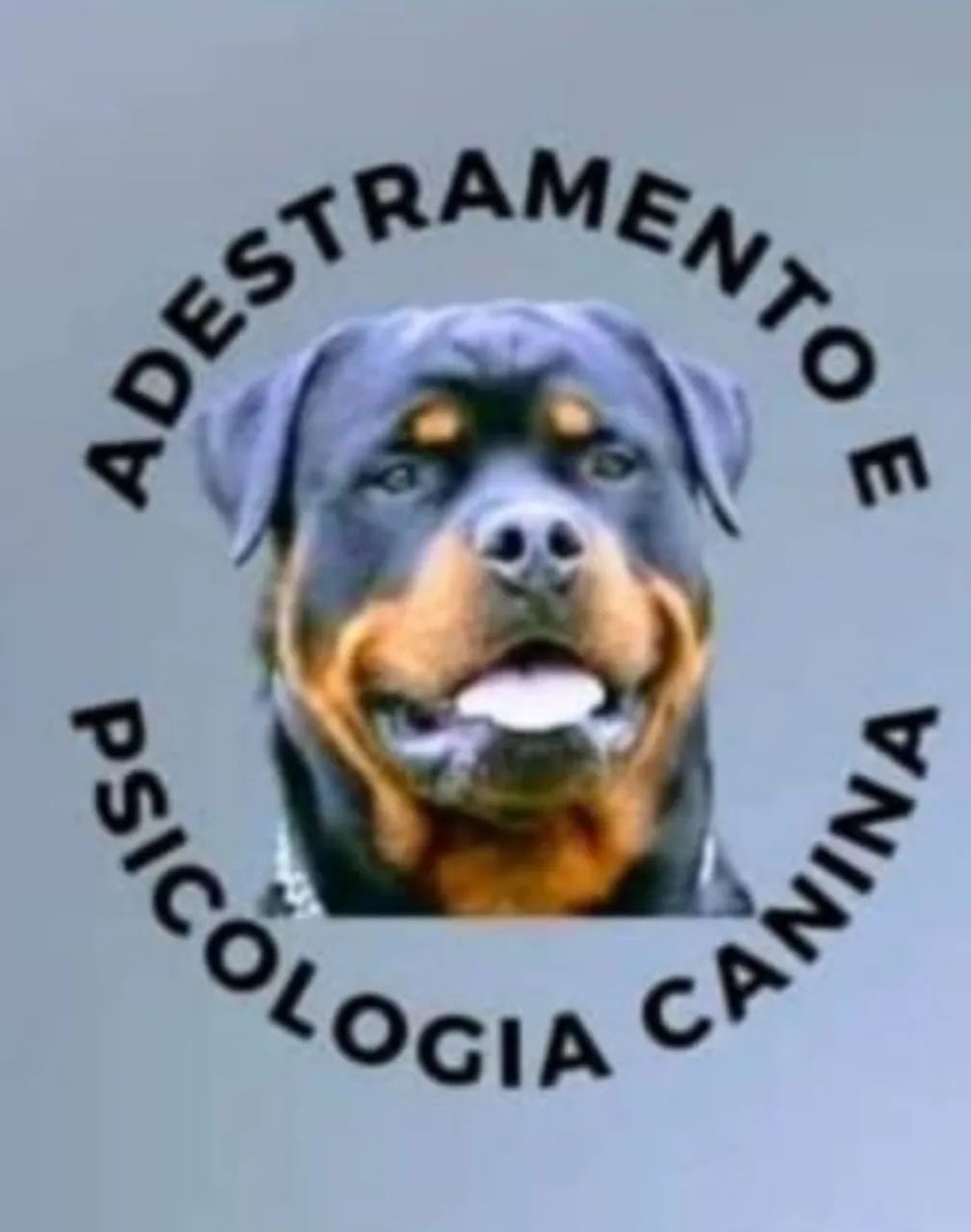 Adestrador de cães - Foto 2