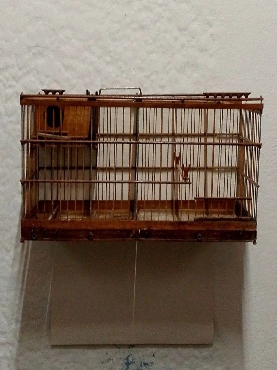 Gaioleiro Salvino 
