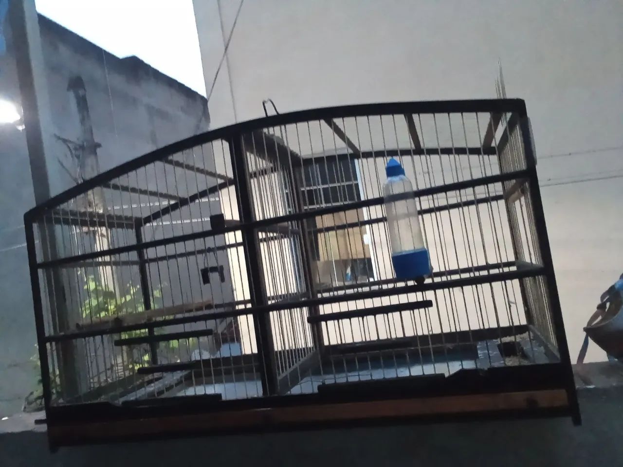 Voador para pássaros 