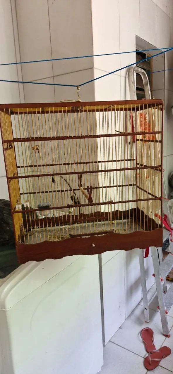 Gaiola top  - Foto 2