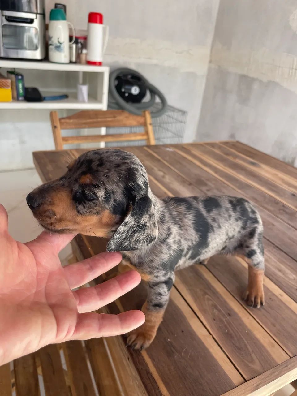Disponível  - Foto 2