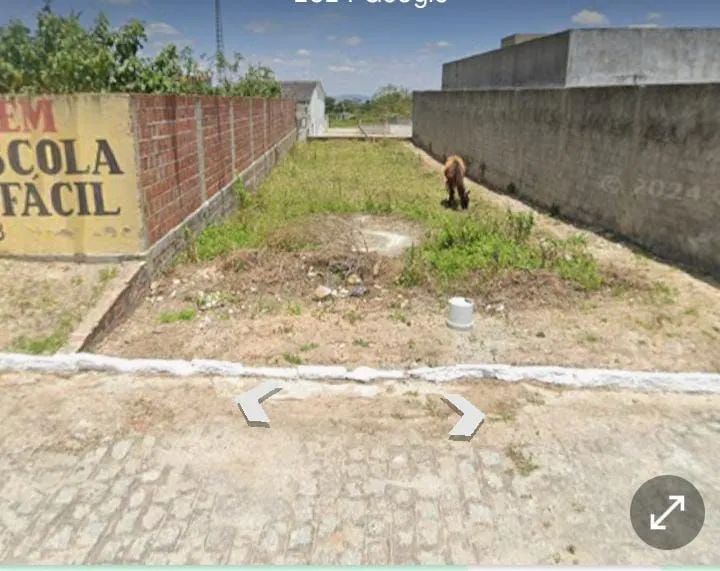 Foto - São Paulo - Jardim Antártica