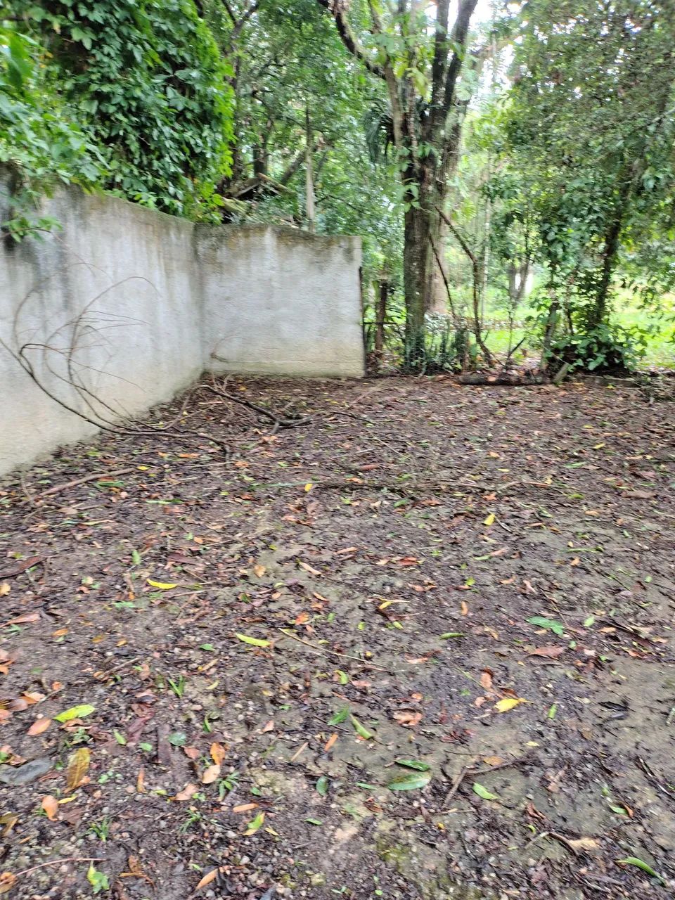 Terreno Plano  - Foto 3