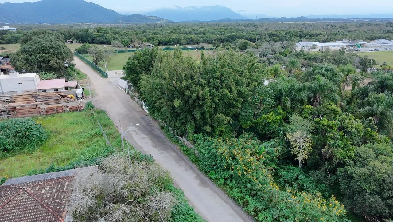 Terreno 1.000m² para Locação no Campeche | Energia Trifásica - Foto 4