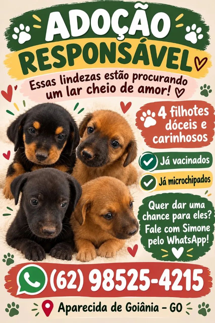 Doação de cachorrinhos