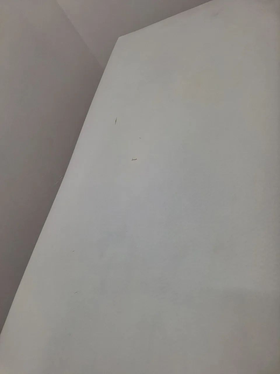 Maca Reta  - Foto 3
