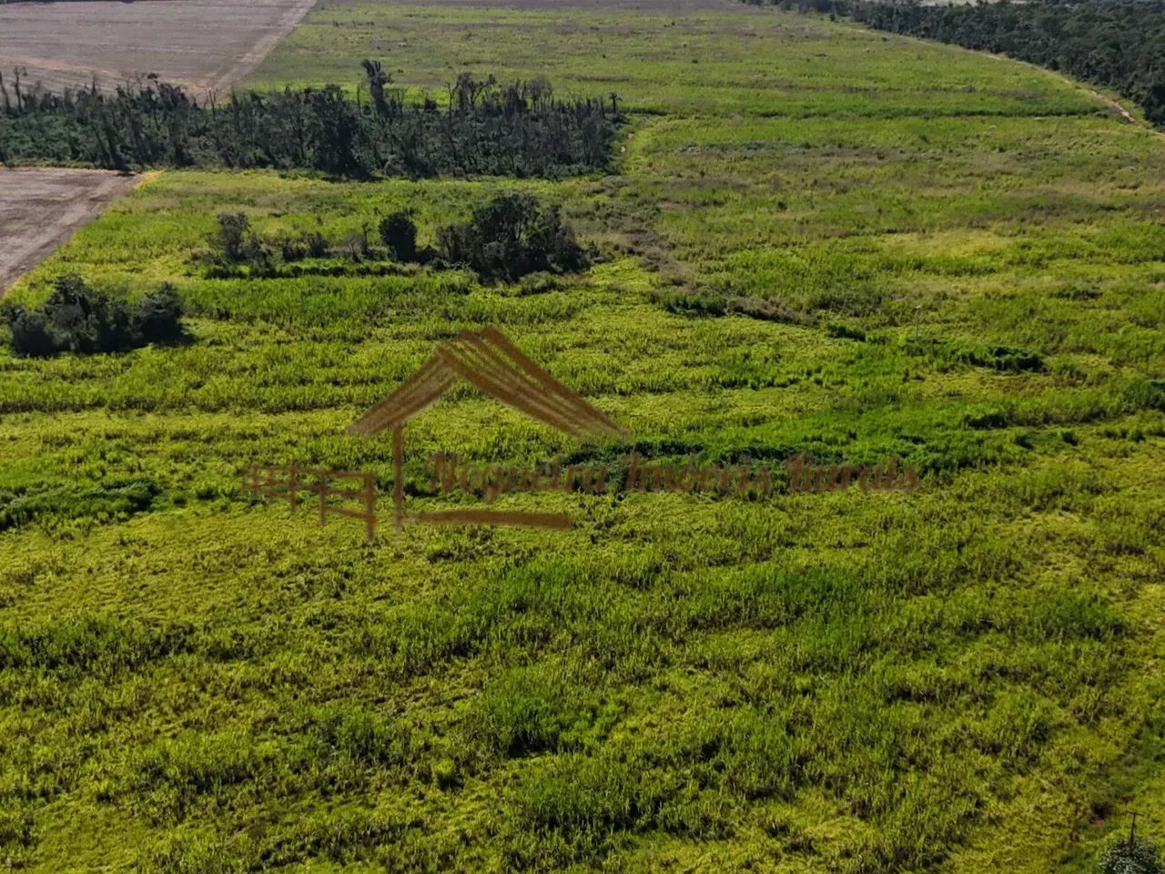 Área com 18 alqueires na região de Avaré-SP - Foto 5