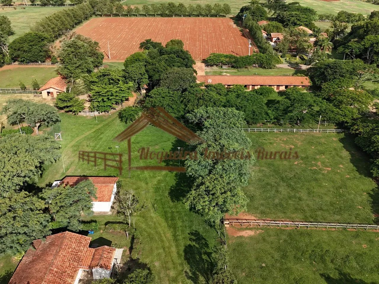 Haras na região de Cesário Lange-SP - Foto 4