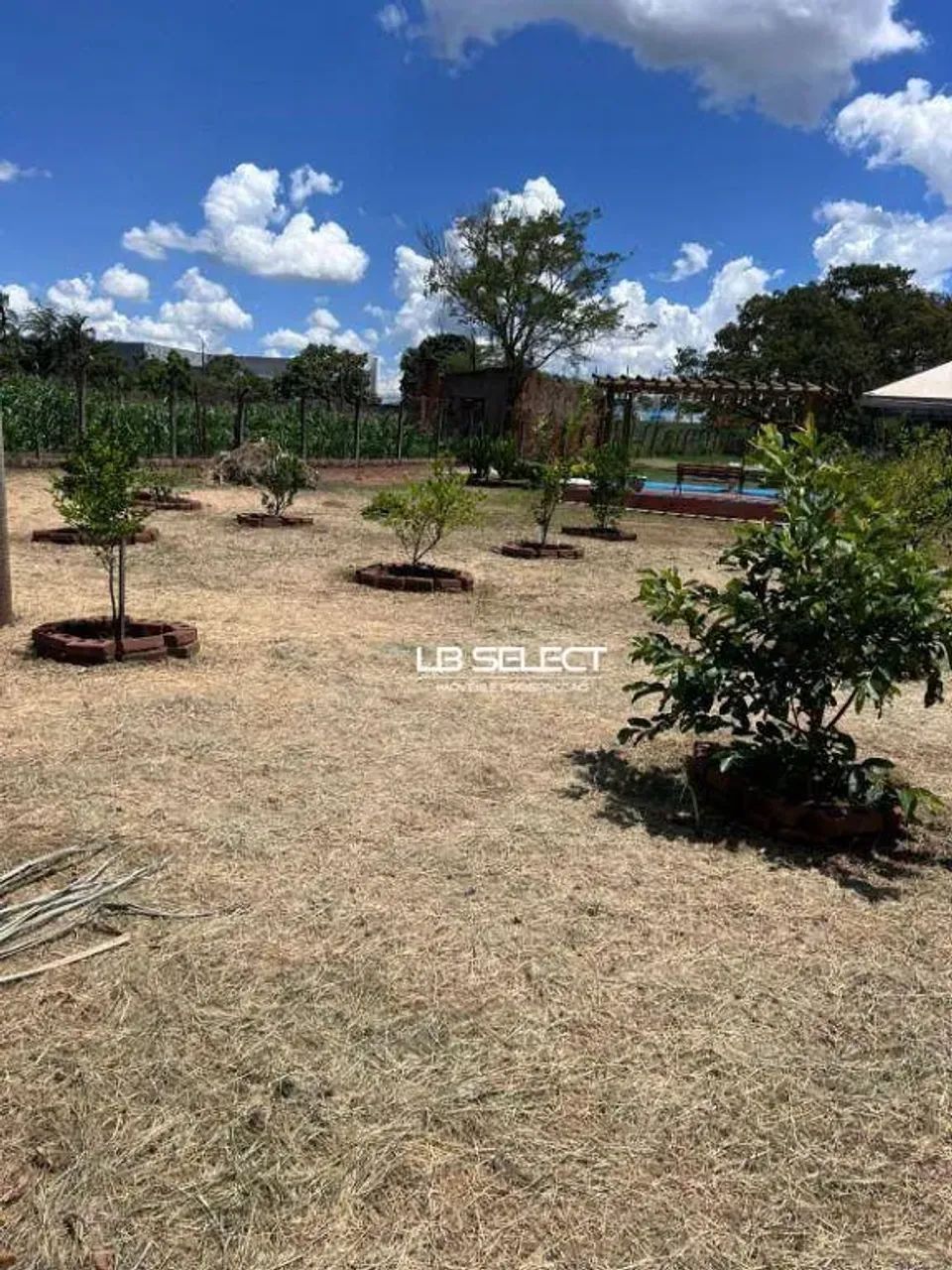 Chácara no bairro Chácaras Panorama com 2500 metros de área. - Foto 3