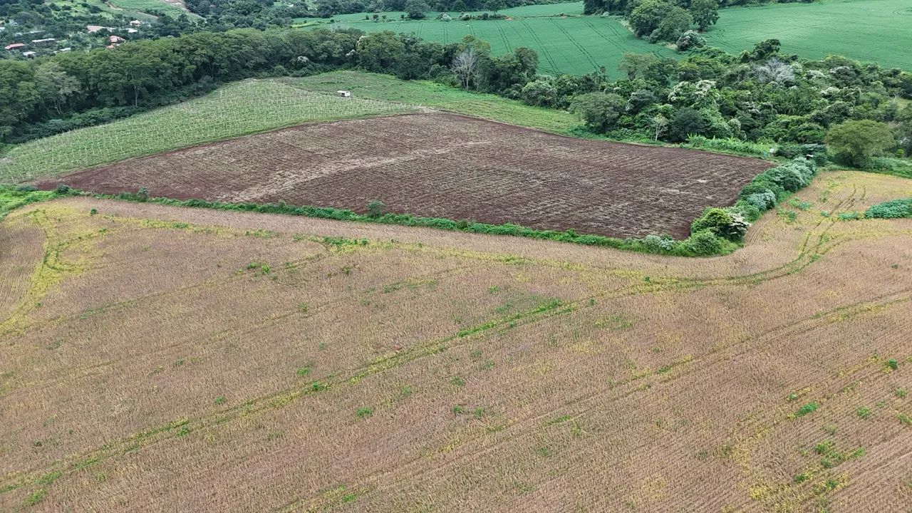 Fazenda de 70 Alqueires  - Foto 4