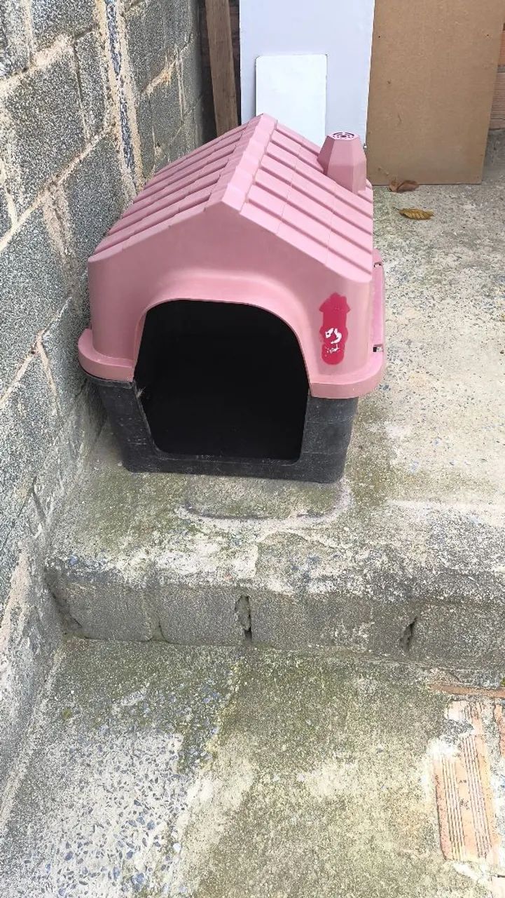 Casinha de cachorro 