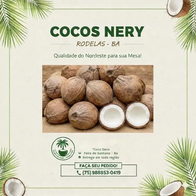 Coco Seco Inteiro - Venda em Atacado - Lote Fechado