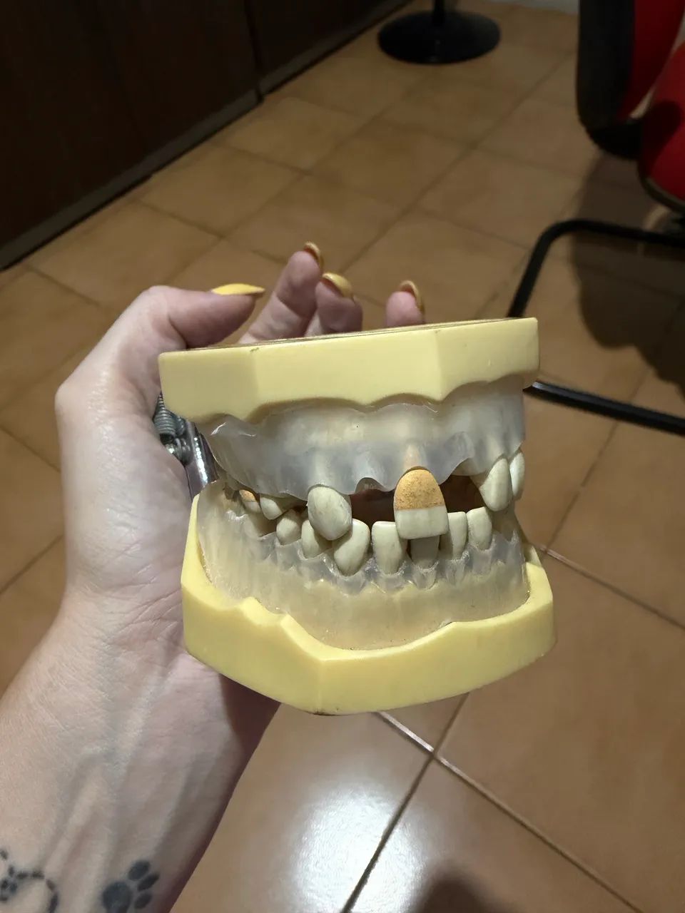 Vendo manequins de perio e dentística da MOM - Foto 3