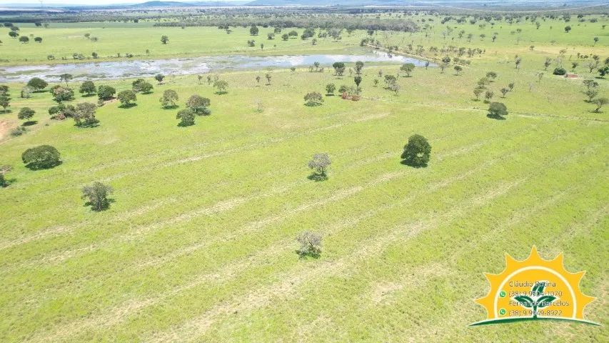 Fazenda 97 hectares - Foto 3