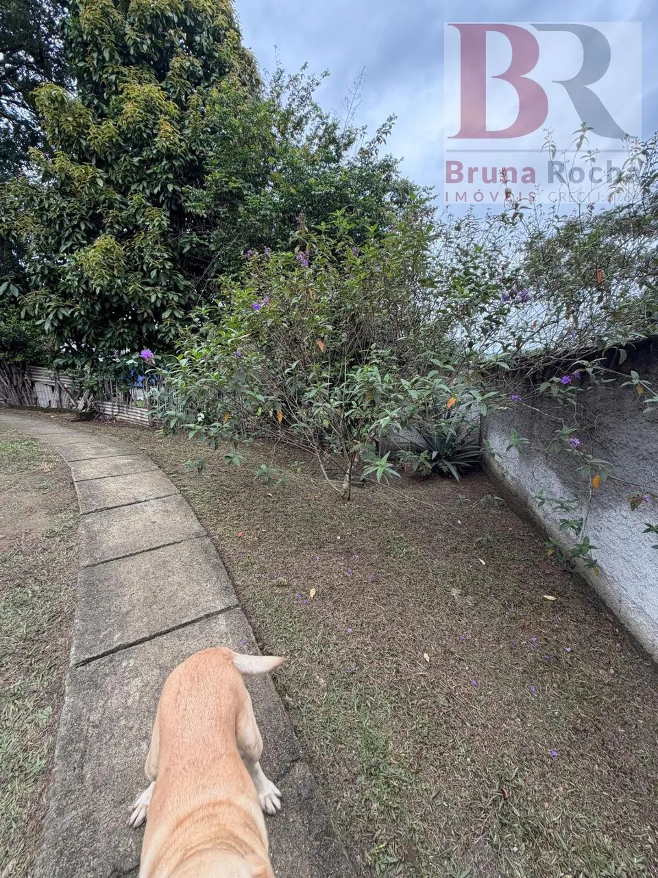 Sítio em Vale das Pedrinhas - Guapimirim - Foto 4